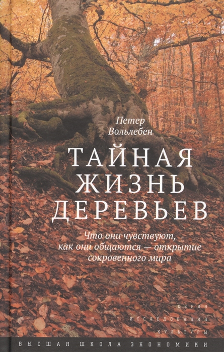 

Тайная жизнь деревьев Что они чувствуют как они общаются - открытие сокровенного мира