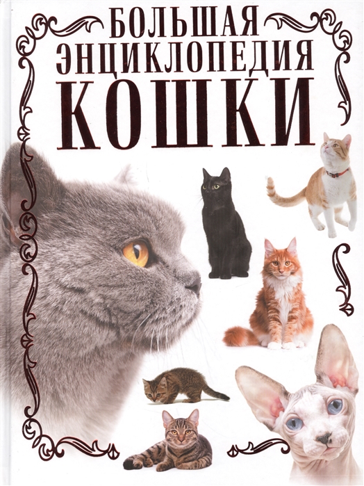 Большая энциклопедия кошки