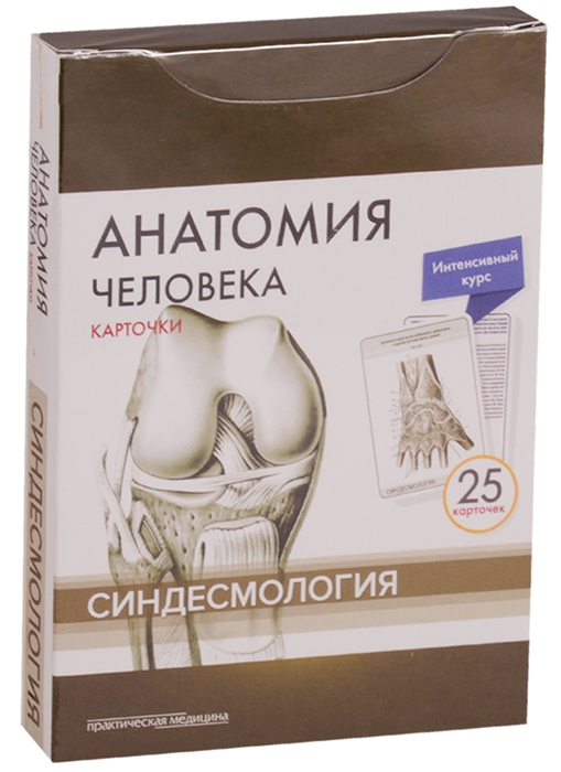 Сапин М., Николенко В., Тимофеева М. - Анатомия человека Карточки Синдесмология Интенсивный курс 25 карточек