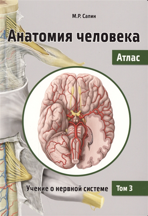Сапин М. Анатомия человека Атлас В 3 томах Том 3 Учение о нервной системе