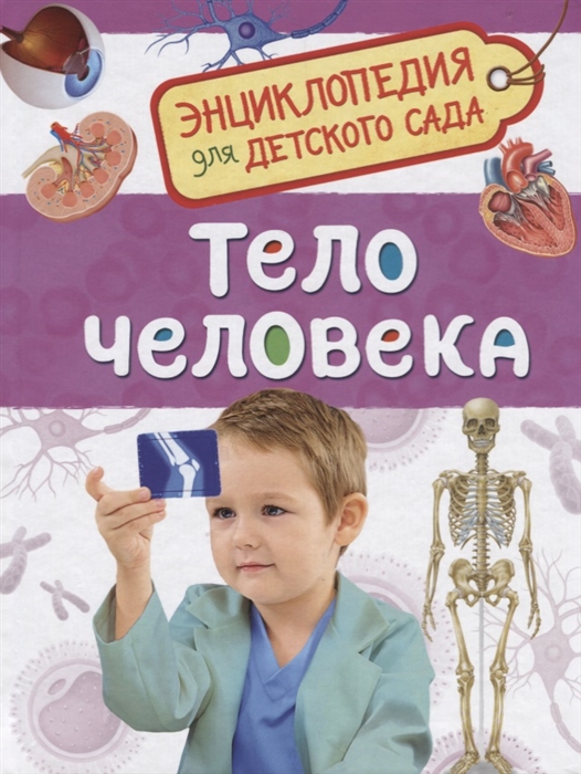 

Тело человека