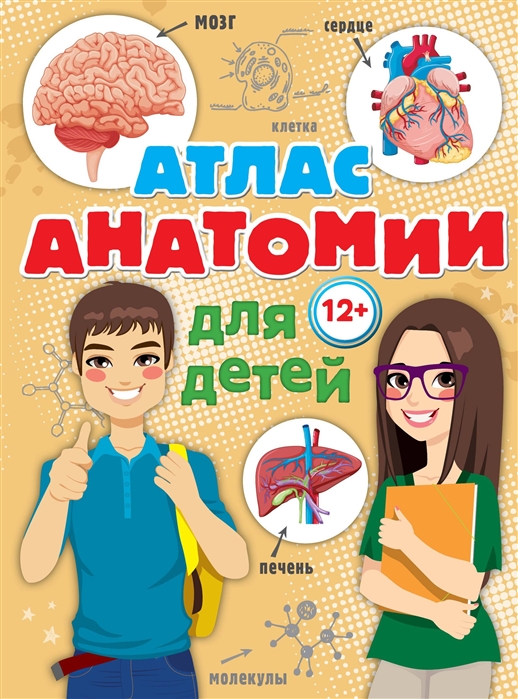 Швырев А. Атлас анатомии для детей
