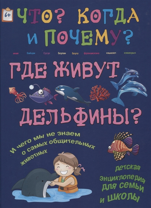 

Где живут дельфины И чего мы не знаем о самых общительных животных