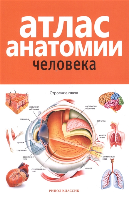 

Атлас анатомии человека