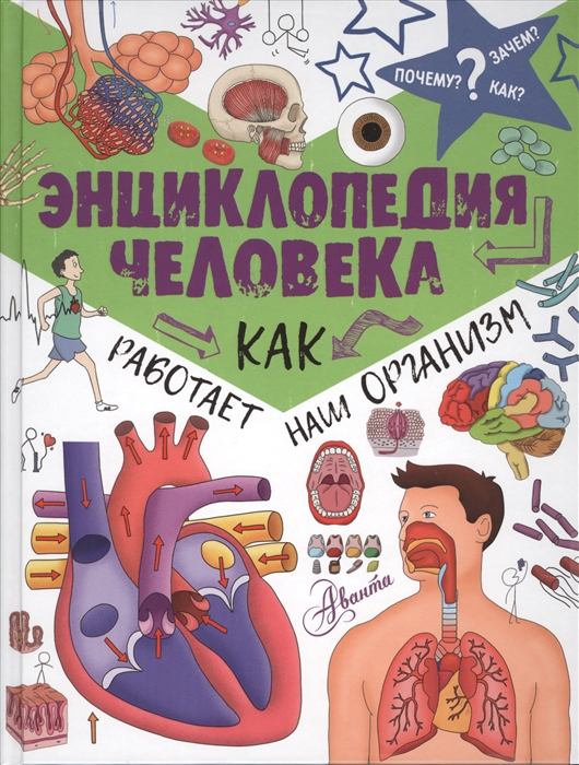 

Энциклопедия человека Как работает наш организм