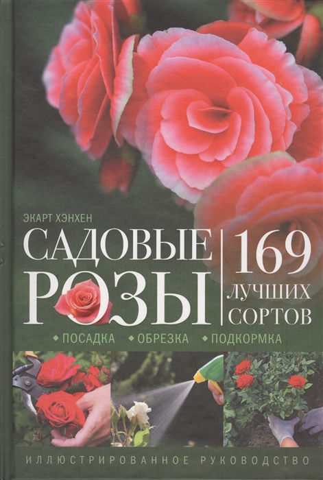 

Садовые розы Посадка Обрезка Подкормка 169 лучших сортов