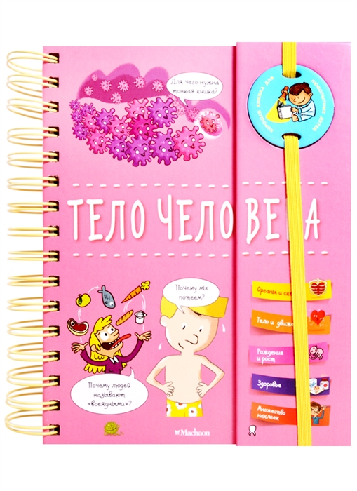 

Тело человека