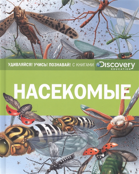 

Насекомые