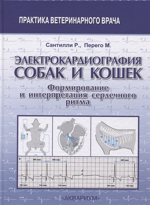 

Электрокардиография собак и кошек Формирование и интерпретация сердечного ритма