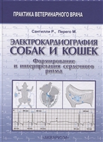 Электрокардиография собак и кошек. Формирование и интерпретация сердечного ритма Электрокардиография собак и кошек. Формирование и интерпретация сердечного ритма