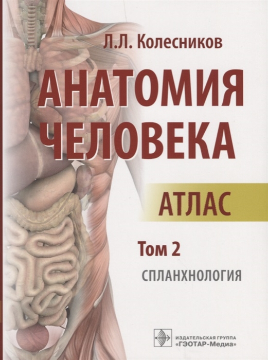 Колесников Л. - Анатомия человека Атлас Том 2 Спланхнология