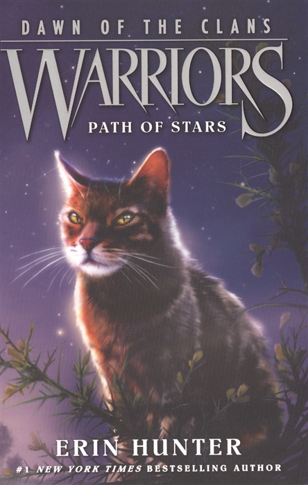 

Warriors Dawn of the Clans 6 Path of Stars