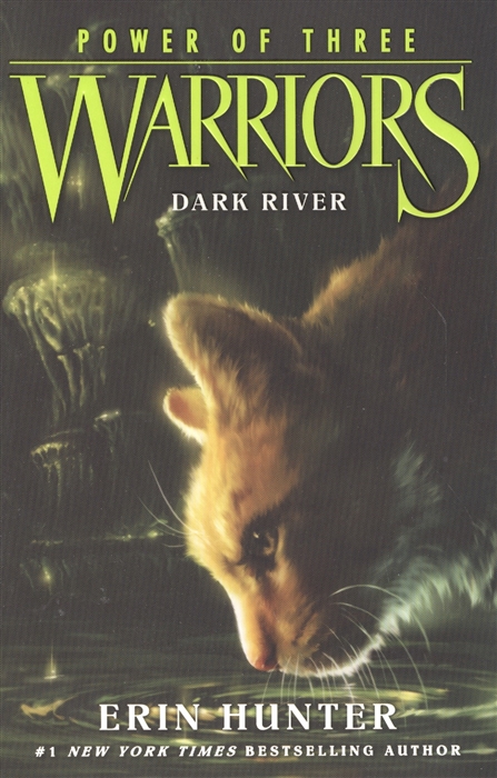 

Warriors Power of Three 2 Dark River