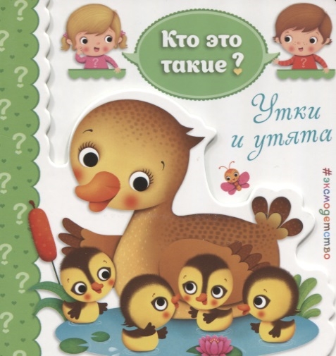 

Утки и утята
