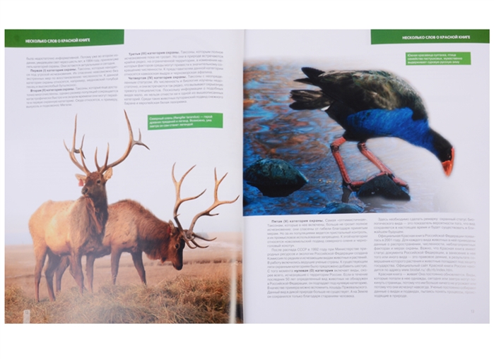 Красная книга животные и растения фото и описание