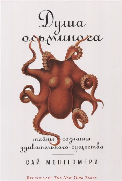 Душа осьминога Тайны сознания удивительного существа