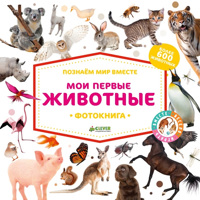 

Мои первые животные Фотокнига Более 600 животные