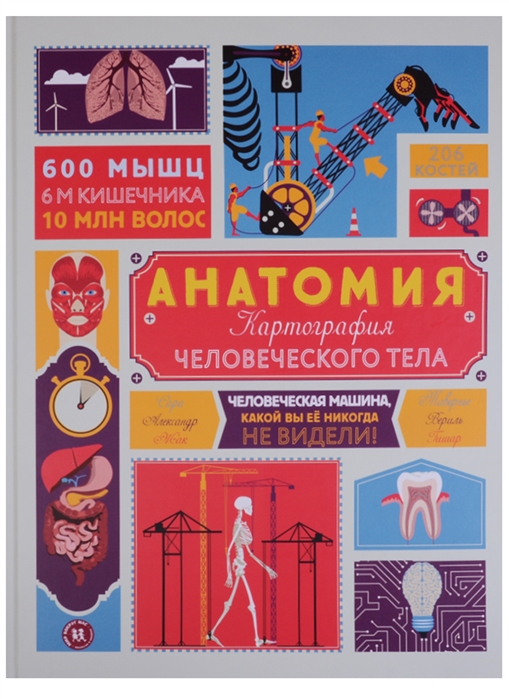 

Анатомия Картография человеческого тела