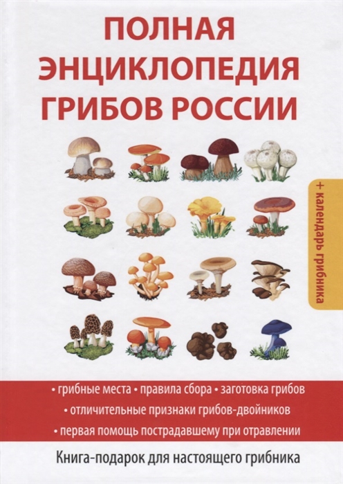 Грибы энциклопедия грибов фотографии и описание