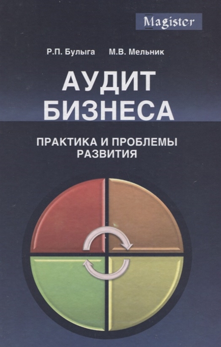 

Аудит бизнеса Практика и проблемы развития