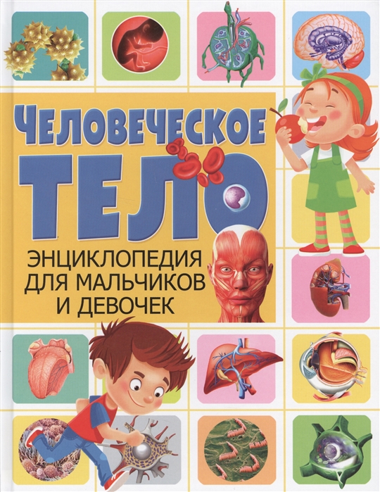 

Человеческое тело Энциклопедия для мальчиков и девочек