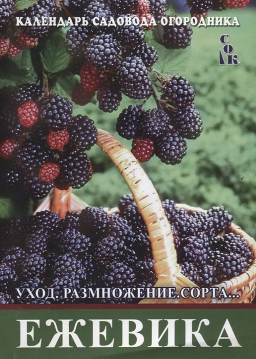 

Ежевика Уход размножение сорта