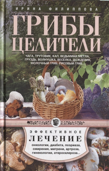 

Грибы-целители Чага трутовик кап ведьмина метла груздь волнушка веселка дождевик молочный гриб рисовый гриб