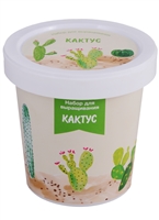 Набор для выращивания Кактус (Hero in desert) Набор для выращивания Кактус (Hero in desert)