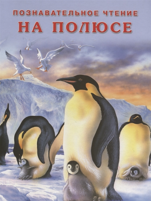 

На полюсе