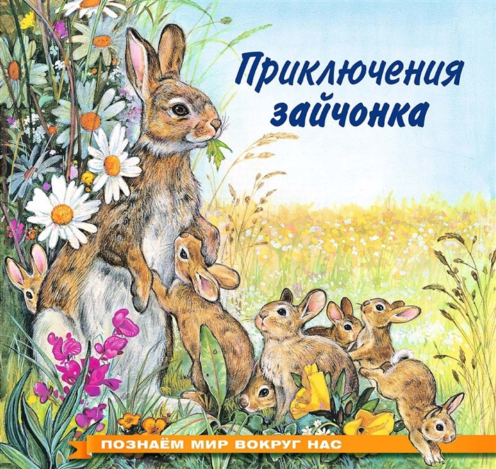 

Приключения зайчонка