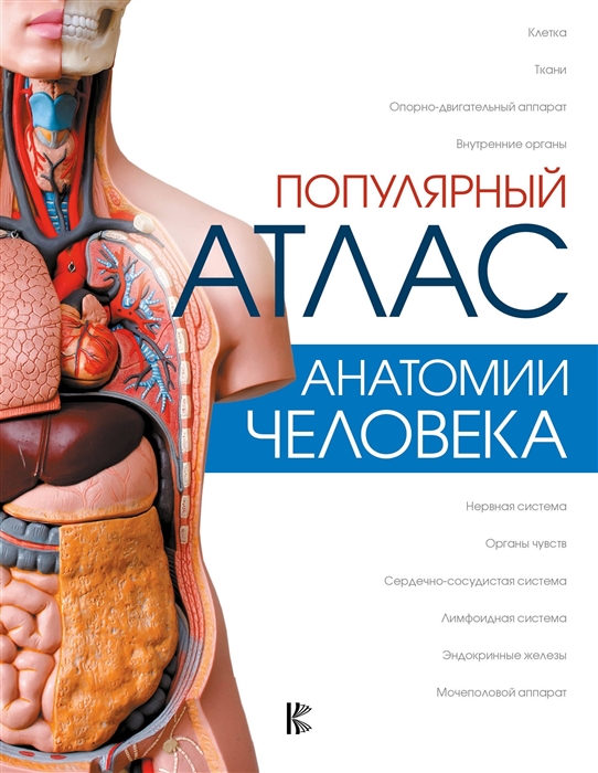 

Популярный атлас анатомии человека