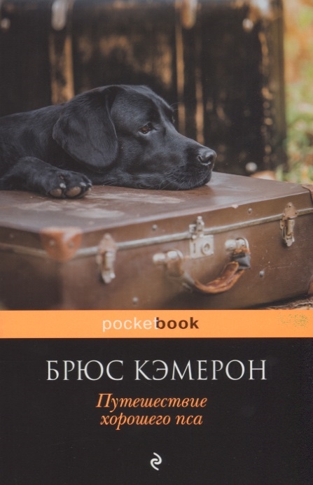 

Путешествие хорошего пса