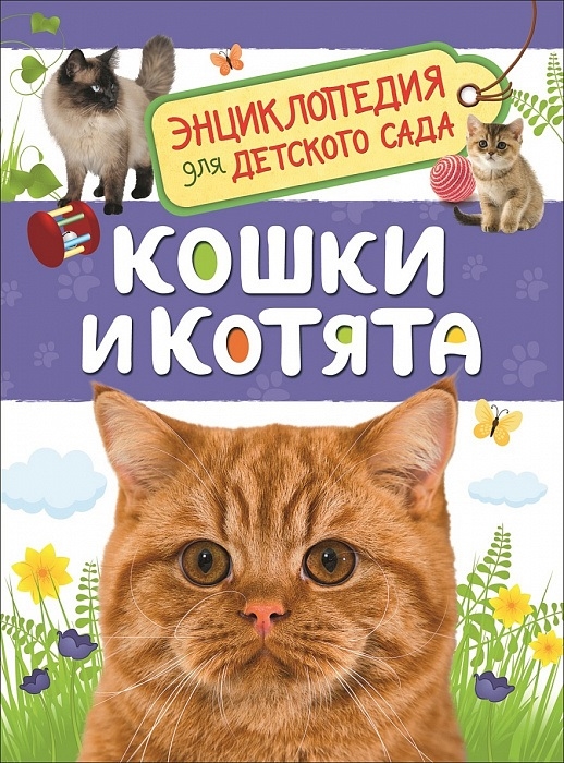 Энциклопедия кошек картинки