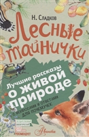 Лесные тайнички. С вопросами и ответами для почемучек Лесные тайнички. С вопросами и ответами для почемучек