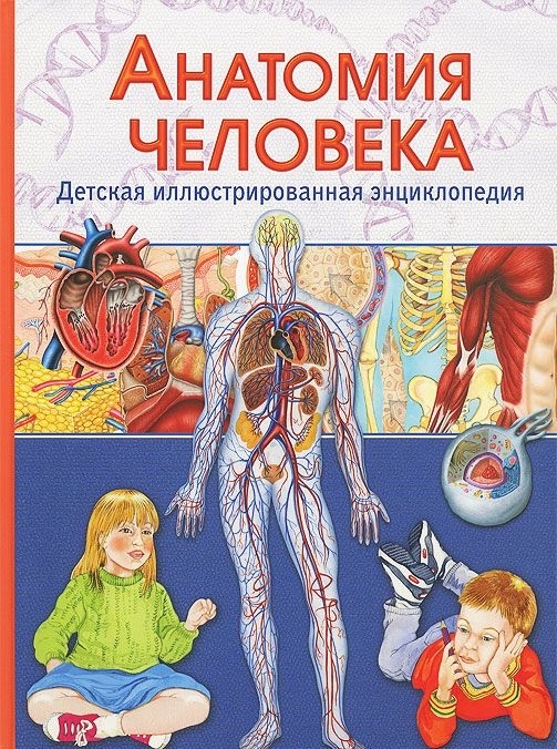 Гуиди В. Анатомия человека