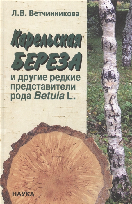 

Карельская береза и другие редкие представители рода Betula L