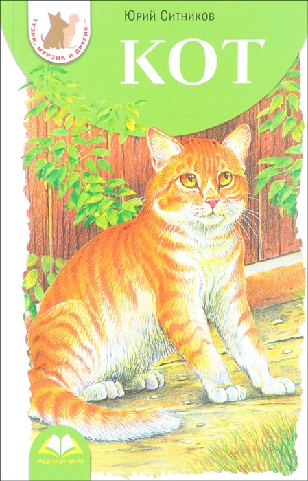 

Кот