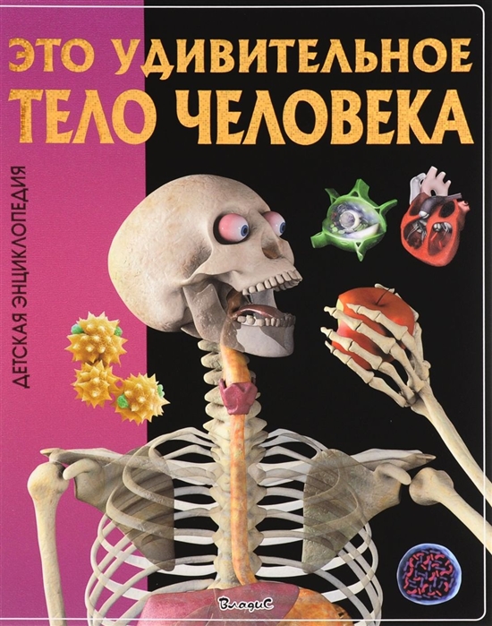 Феданова Ю., Скиба Т. (ред.) - Это удивительное тело человека Детская энциклопедия