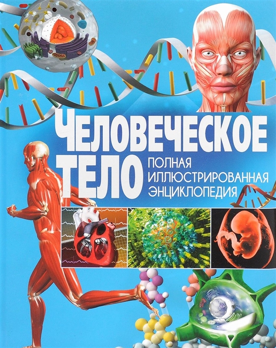 

Человеческое тело Полная иллюстрированная энциклопедия