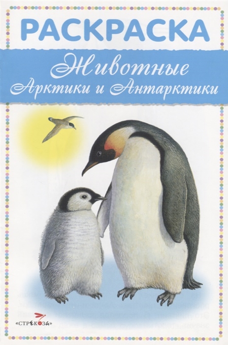 

Животные Арктики и Антарктики Раскраска