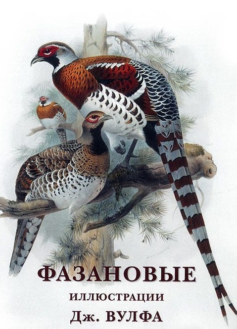 

Фазановые Набор открыток