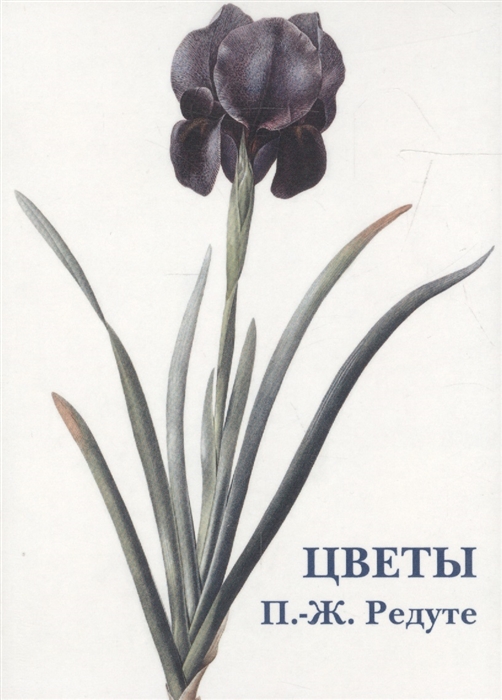 

Цветы Набор открыток