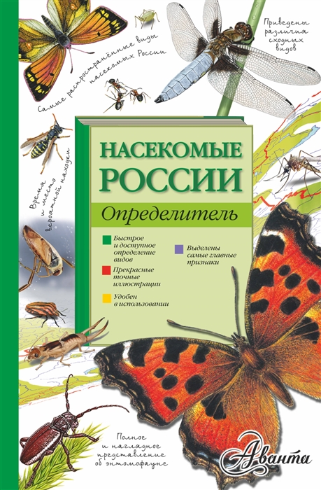 

Насекомые России Определитель