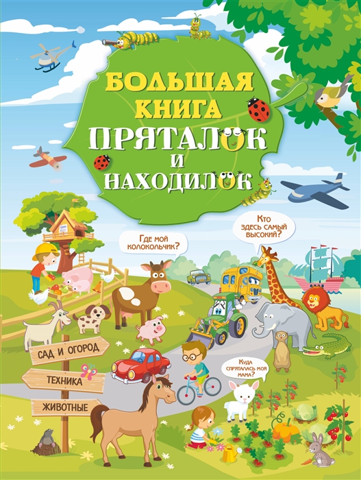 

Большая книга пряталок и находилок