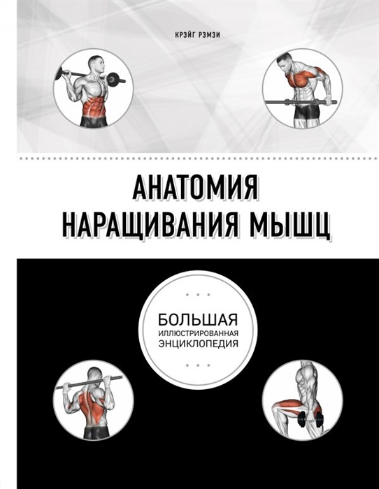 

Анатомия наращивания мышц Большая иллюстрированная энциклопедия