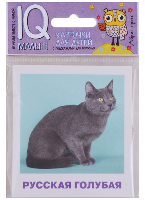 

Породы кошек 17 карточек