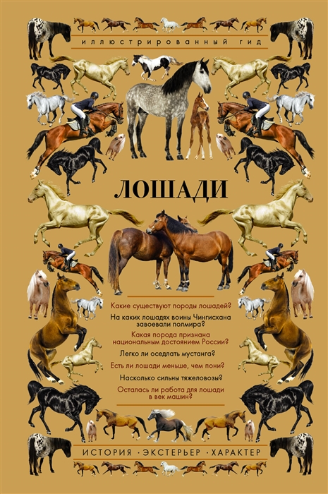 

Лошади Иллюстрированный гид