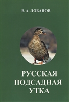 Русская подсадная утка Русская подсадная утка