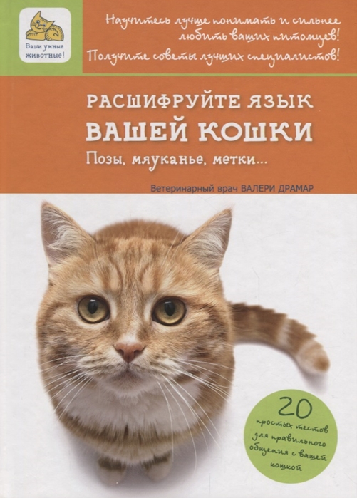 

Расшифруйте язык вашей кошки Позы мяуканье метки