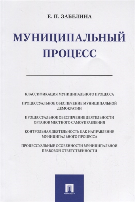 

Муниципальный процесс